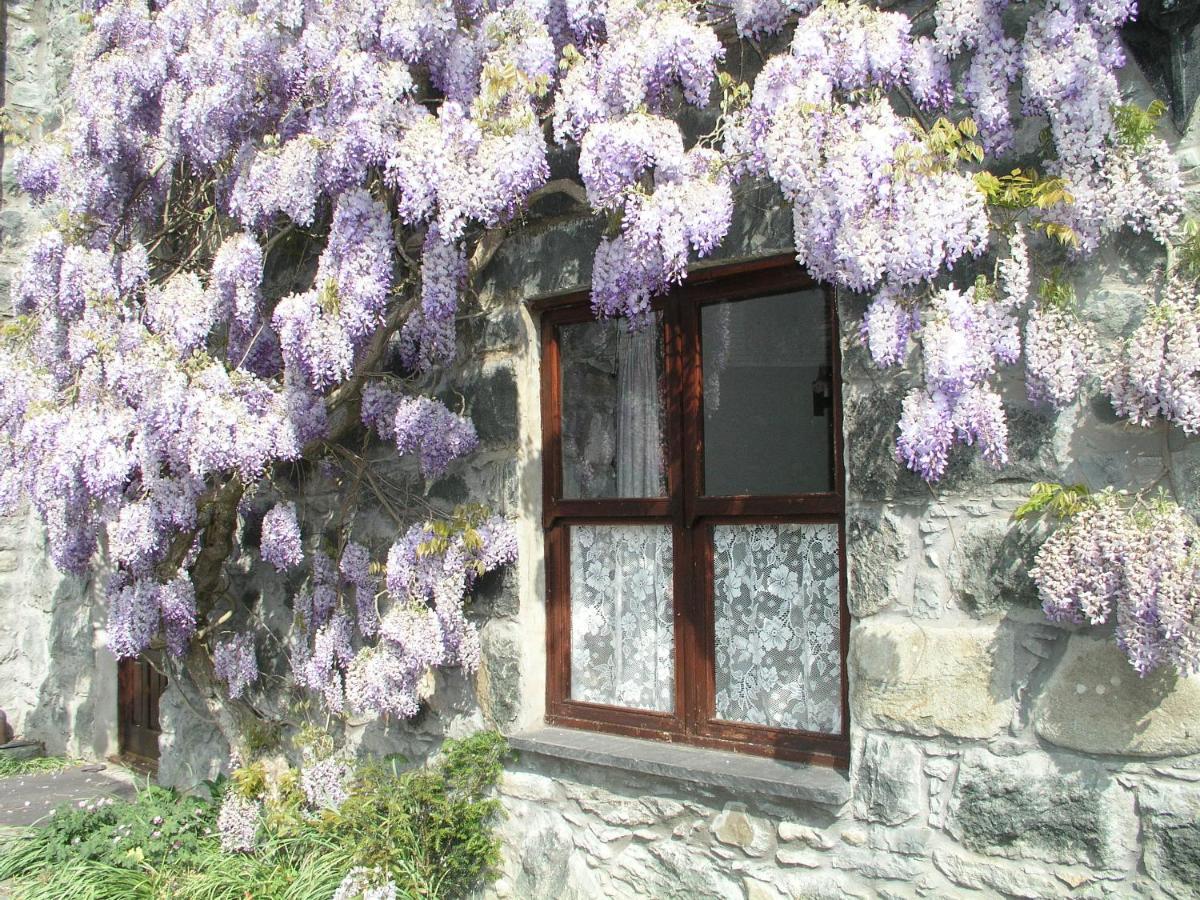 Conwy Valley Cottages Εξωτερικό φωτογραφία